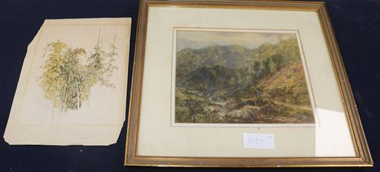 David Cox, watercolour, valley landscape, signed, 19 x 24cm and an unframed study of vines